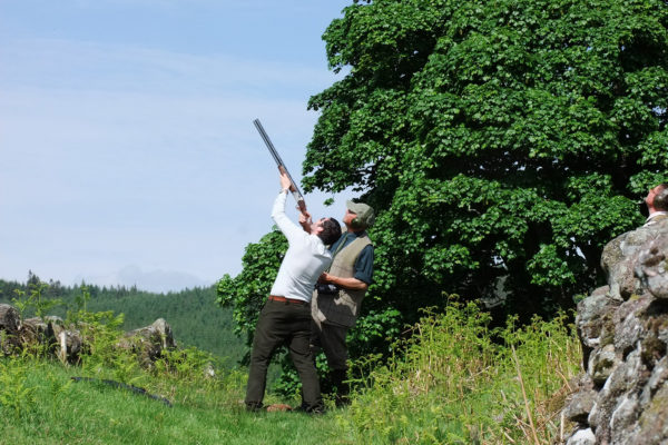 simulated game shooting