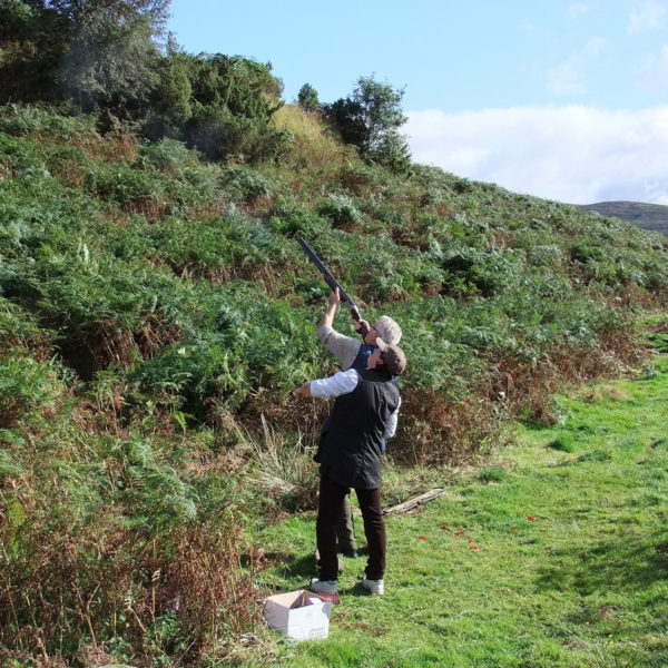 simulated game shooting